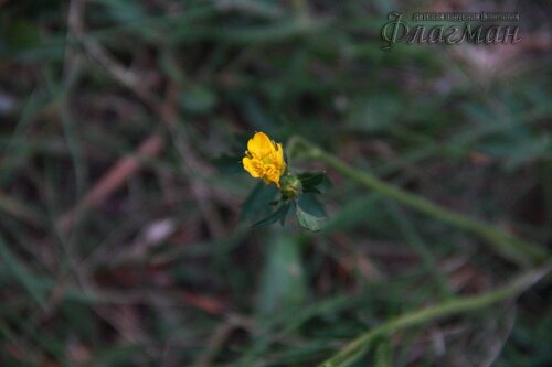 IMG_3107